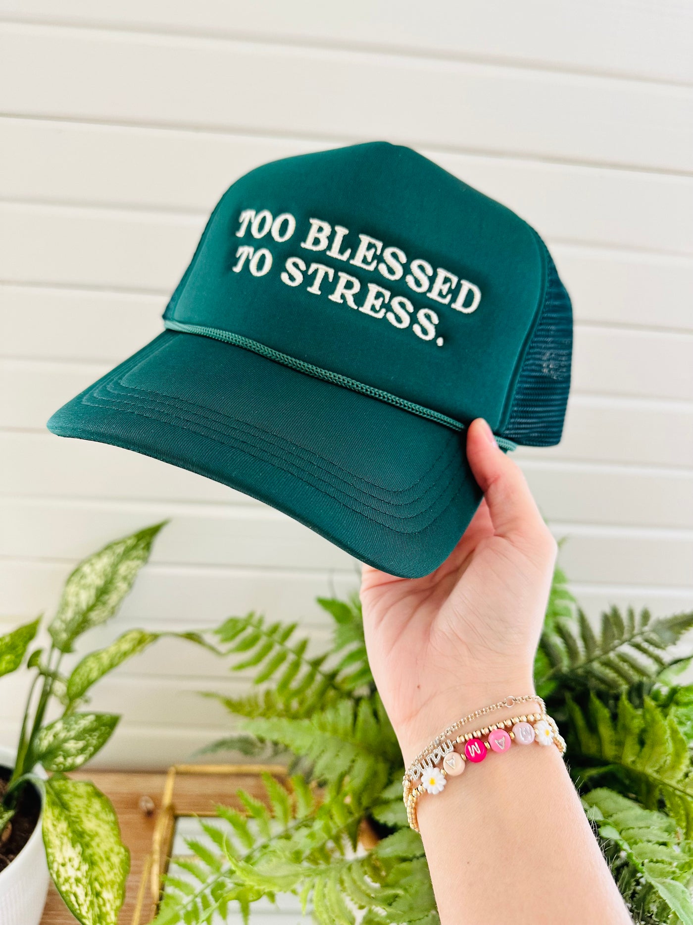Too Blessed Trucker