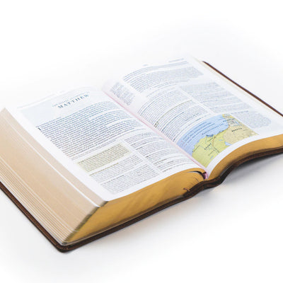 ESV Study Bible: Aurora